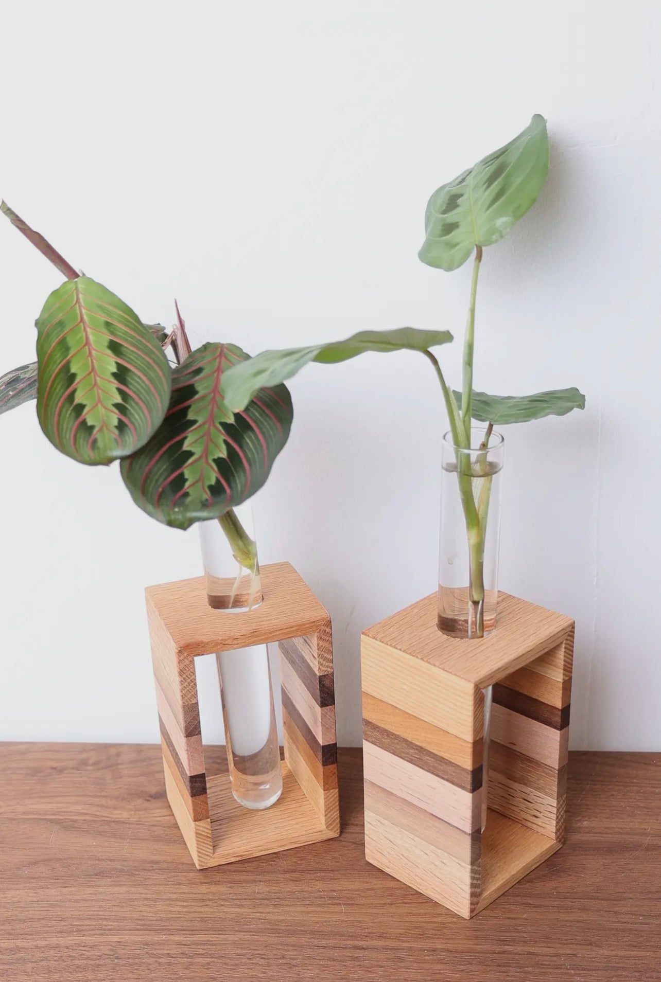 Propagation Stand