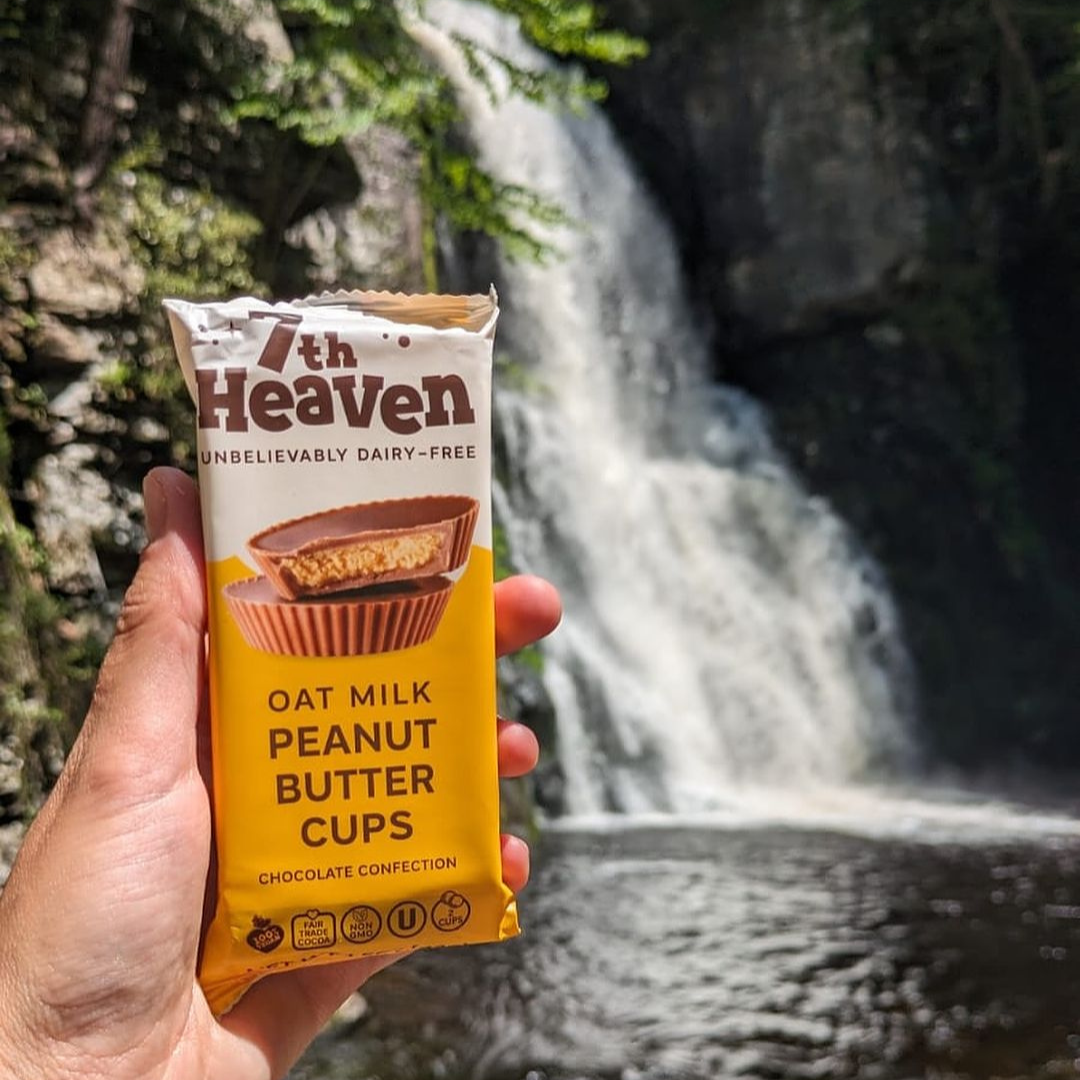 Vegan Oat Milk Chocolate Bar - Peanut Butter Cups, Kosher