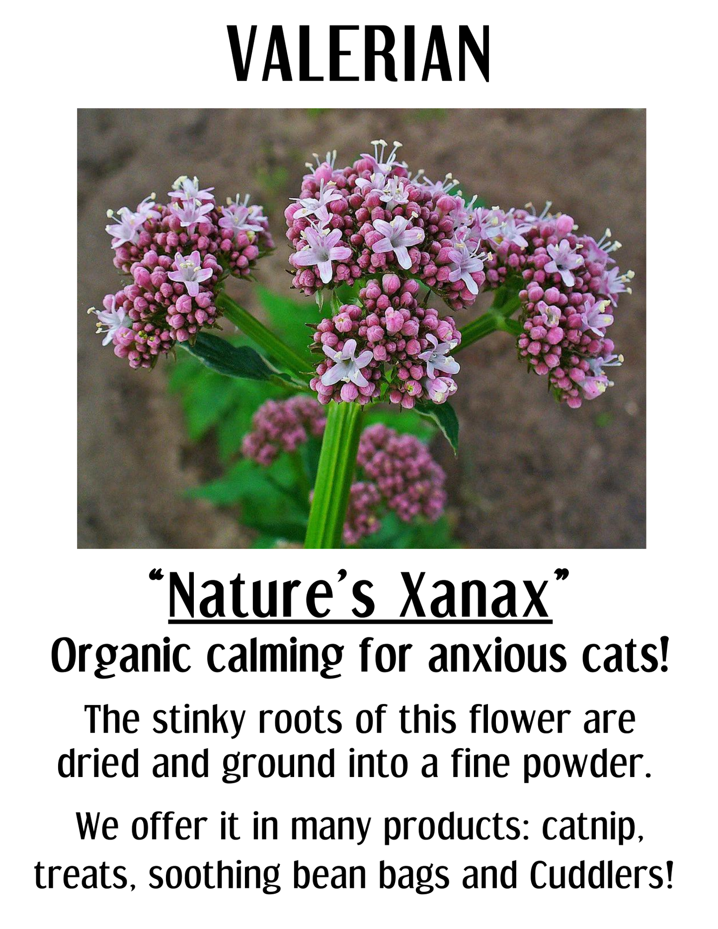 Calming Valerian Cuddler | Soothing Cat Toy | New Printable!
