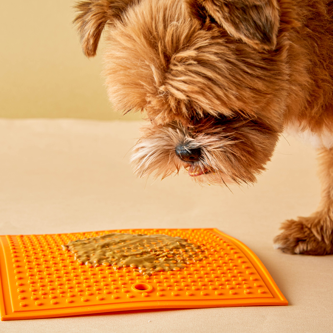 Lick Mat w/ Suction Cup (Small)