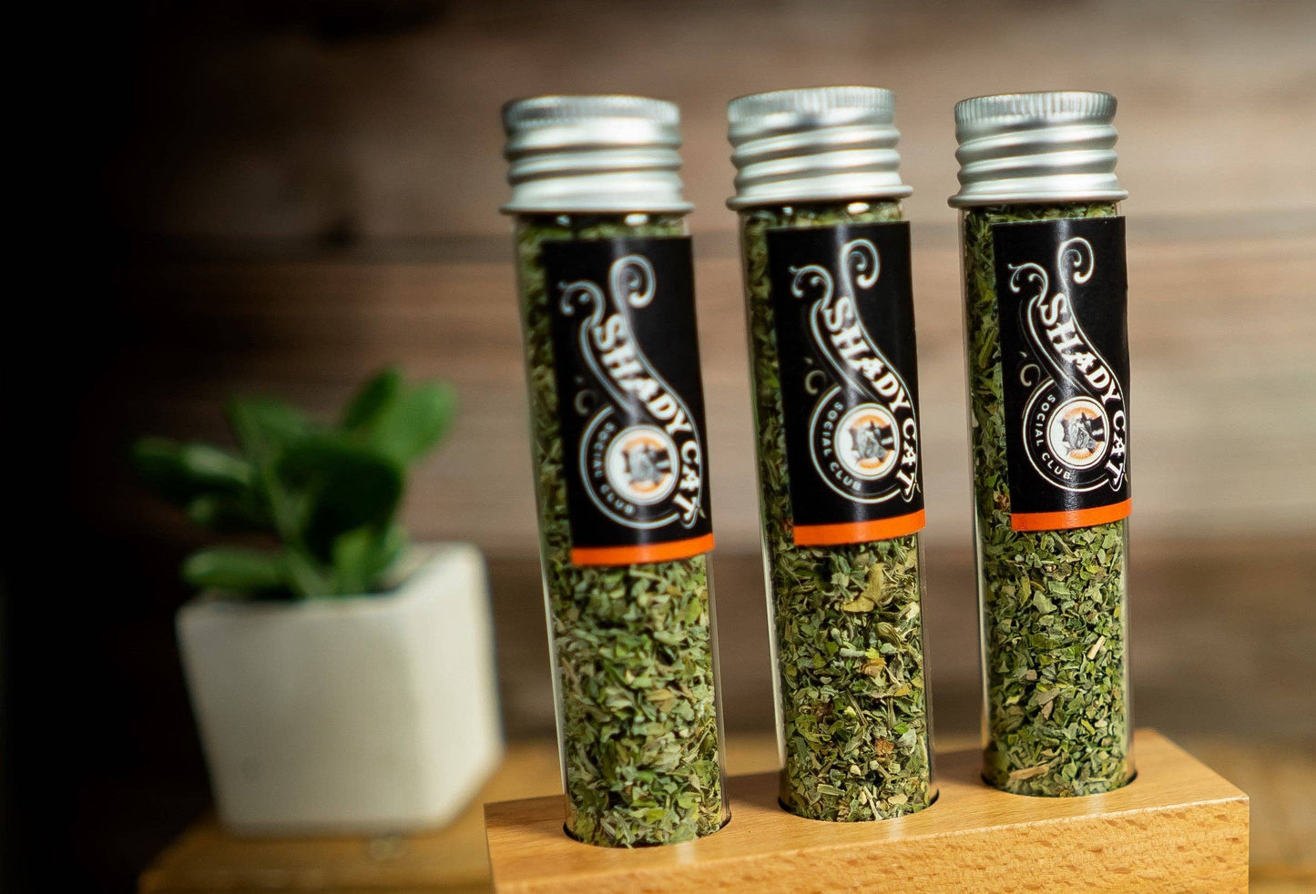 Organic Catnip & Silver vine Blend Tube | Gift for Pet