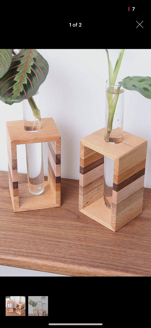 Propagation Stand
