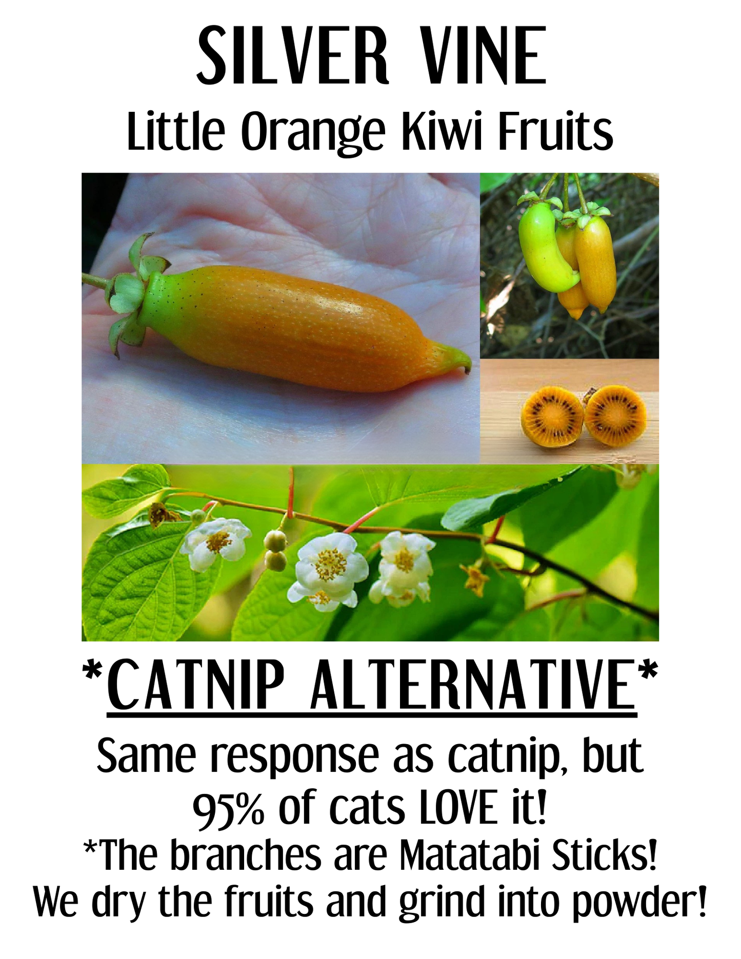 Organic Catnip & Silver vine Blend Tube | Gift for Pet