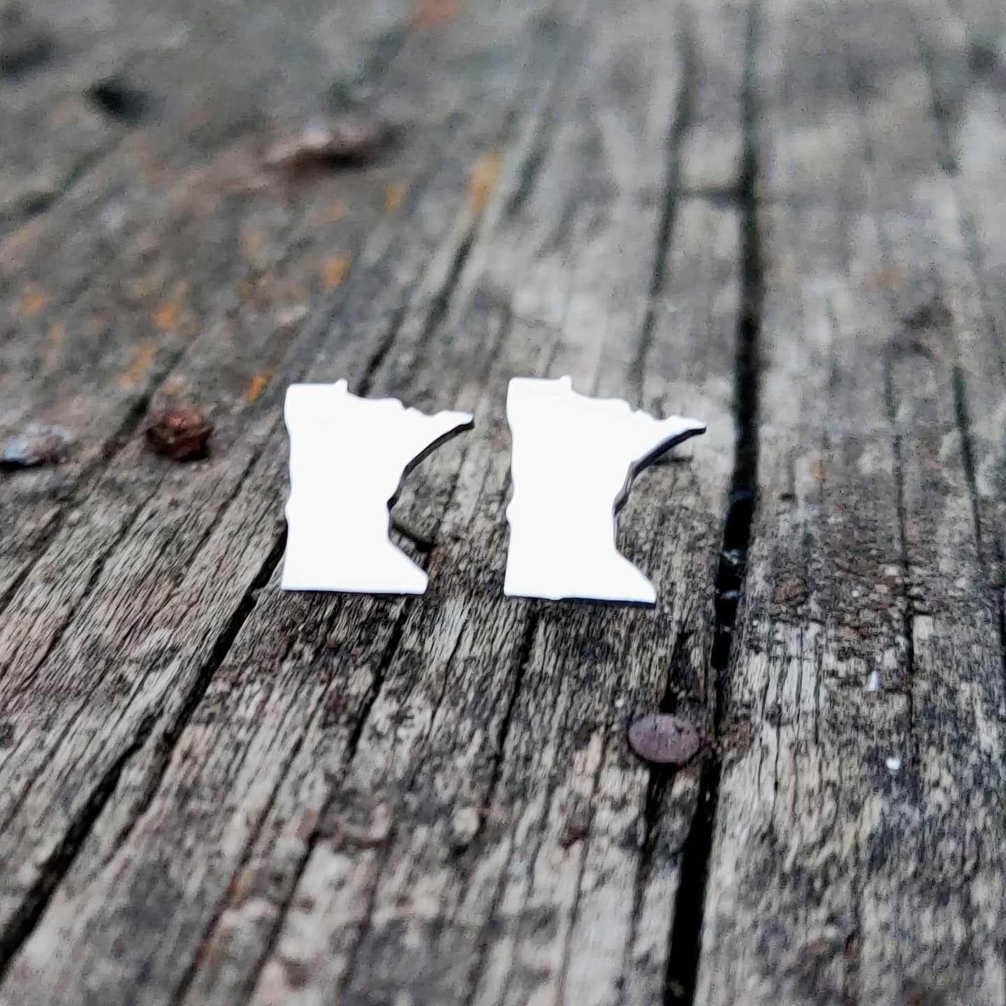 Minnesota stud earrings
