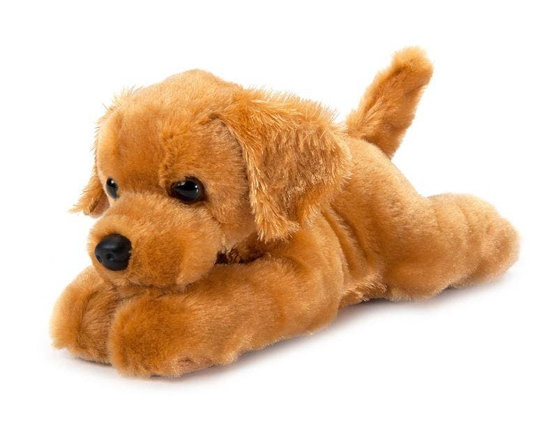 Petting Zoo Stuffies, Scoopz Dog Golden Retriever Small 8" (22cm)